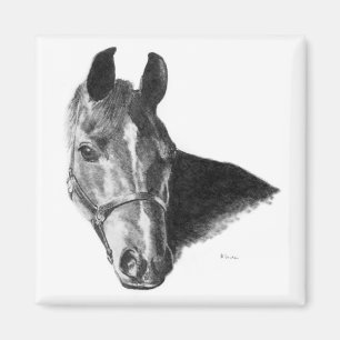 Aimant Tête de Cheval de Graphite