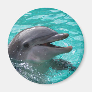 Aimant Tête de dauphin dans l'eau bleu vert
