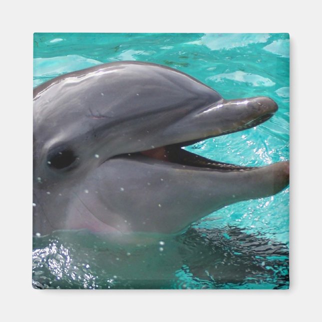 Aimant Tête de dauphin en eau aquamarine (Devant)