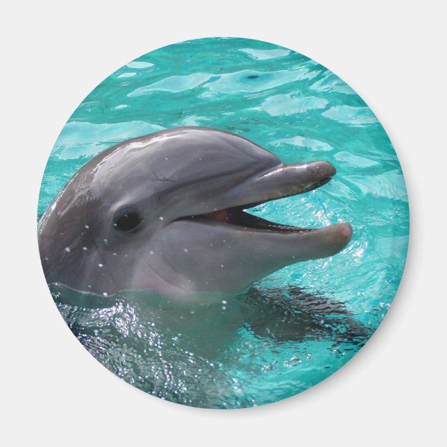Aimant Tête de dauphin en eau aquamarine (Devant)
