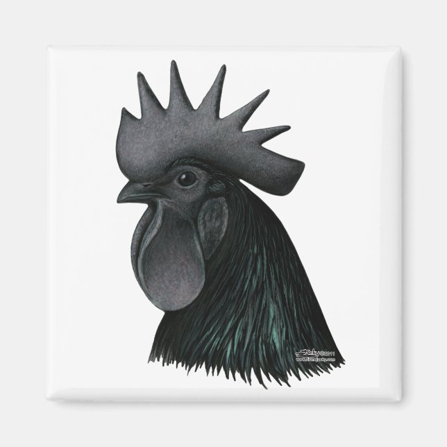Aimant Tête de Rooster Ayam Cemani (Devant)
