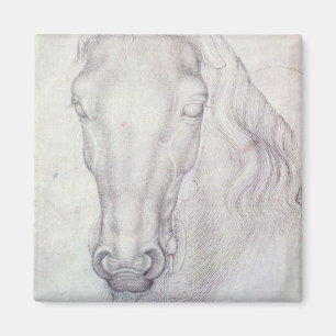 Aimant Tête d'un cheval