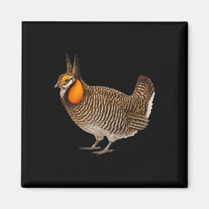 Aimant Tétras d'Attwater Faune Oiseaux Nature 