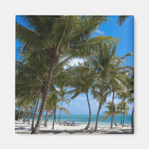 Aimant The Moorings Resort, Marathon, Key West,