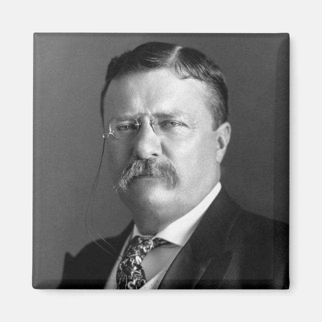 Aimant Theodore Roosevelt Teddy Président républicain (Devant)