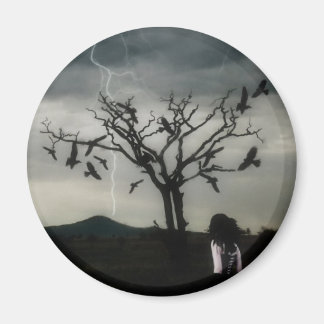 Aimant Théorie du chaos