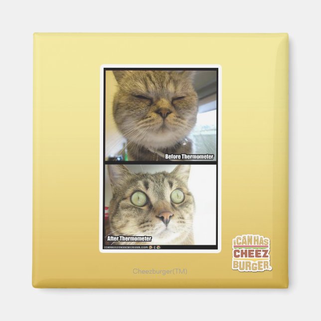 Aimant Thermomètre (Devant)