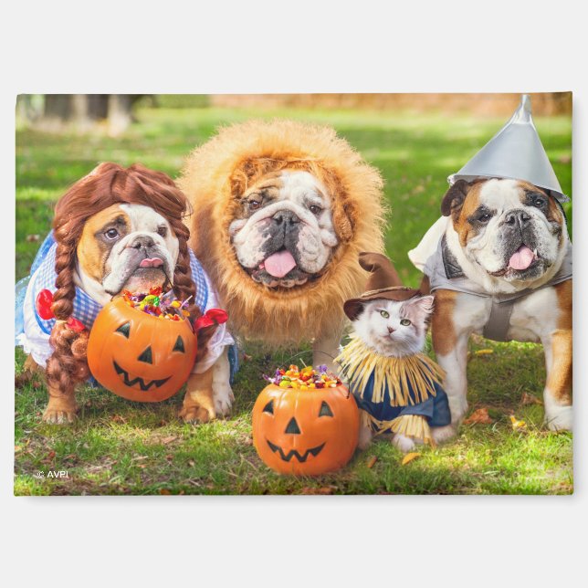 Aimant Three Bulldogs in Costumes (Recto)