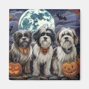 Aimant Tibétain Terrier Halloween Effrayant