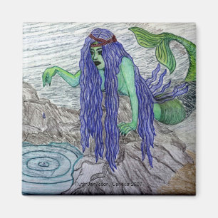 AIMANT TIDEPOOL RÊVASSANT