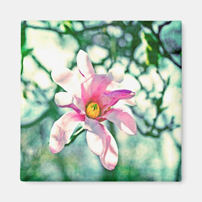 Aimant Tiffany Magnolia (Devant)