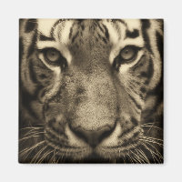 Tiger face dans les tons Sepia