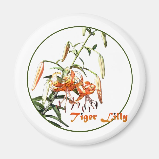 Aimant Tiger Lilly (Devant)