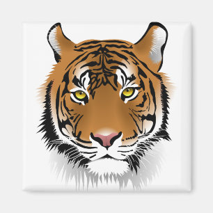 Aimant Tiger Sumatran Tiger Faune Homme Mangé Wildcat