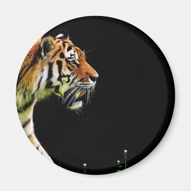 Aimant Tigre approchant - Oeuvres d'art d'animaux sauvage (Devant)