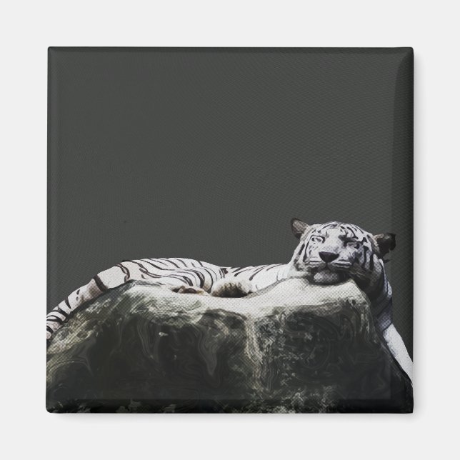 Aimant Tigre blanc - Big Cat dormir (Devant)