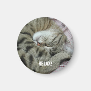 Aimant Tigre-chat couché