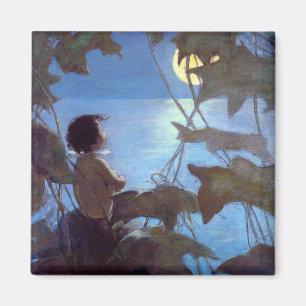 Aimant Tom regarde la lune, Jessie Willcox Smith