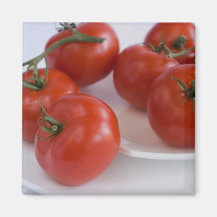 Aimant tomatoes_1