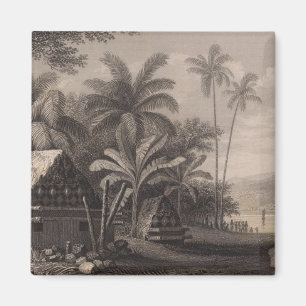 Aimant Tombes, Muthuata, Fidji
