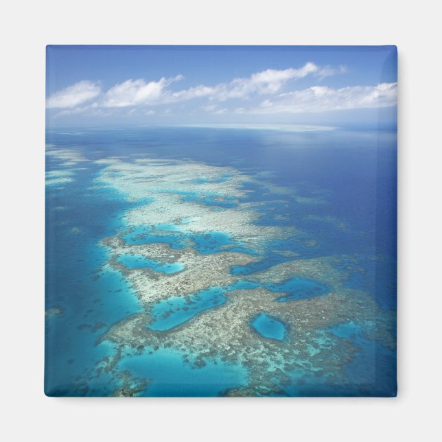 Aimant Tongue Reef, Great Barriere Marine Park, (Devant)