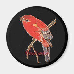 Aimant Tonnerre de perroquet rouge tropical