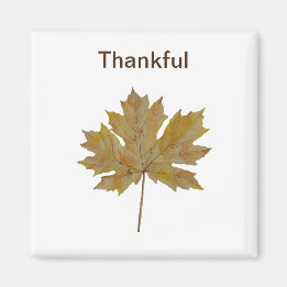 Aimant Tons feuille d'érable, brun et or