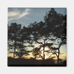 Aimant Torrey Pine Sunset II Californie Paysage
