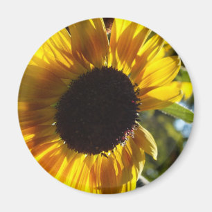 Aimant Tournesol du matin personnalisable