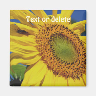 Aimant Tournesol et invité insecte personnalisé