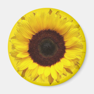 Aimant Tournesol géant de jardin sur l'arrière - plan