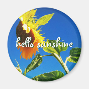 Aimant Tournesol Jaune Photo Hello Sunshine Script Bold