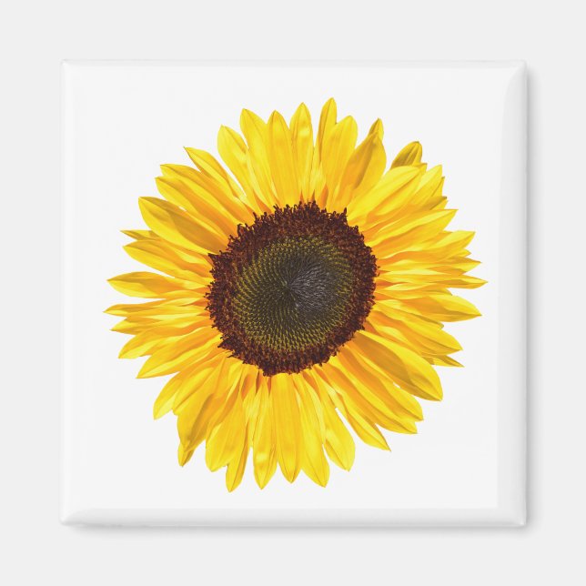 Aimant Tournesol jaune vif (Devant)