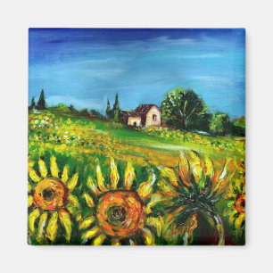 AIMANT TOURNESOLS ET CAMPAGNE EN TOSCANE