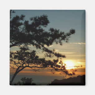 Aimant Tourrey Pine Sunset I California Paysage