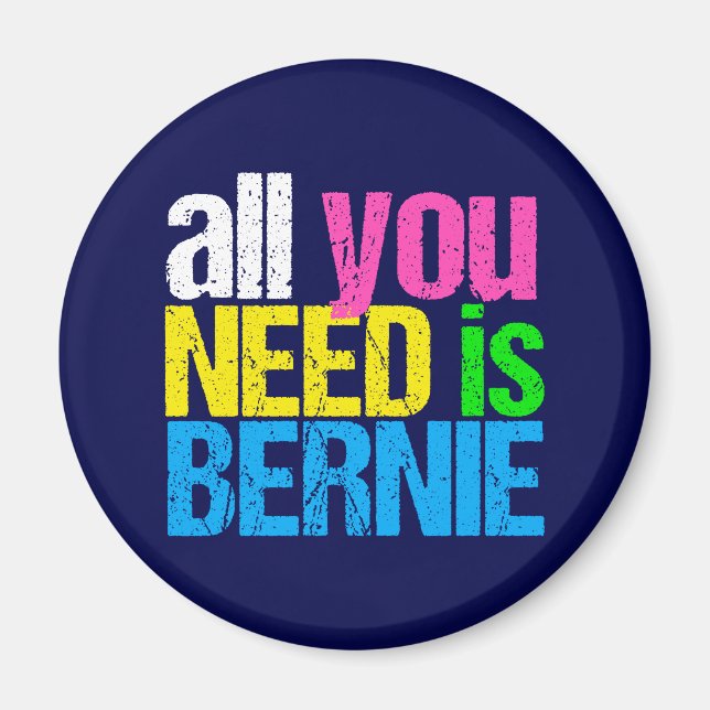 Aimant Tout ce dont vous avez besoin est Bernie Sanders 2 (Devant)