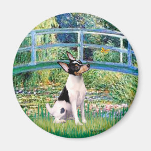 Aimant Toy Fox Terrier - Pont