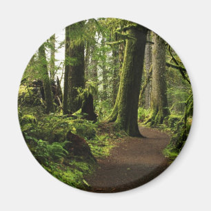 Aimant Trail Among Giants