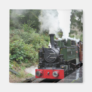 AIMANT TRAINS À VAPEUR