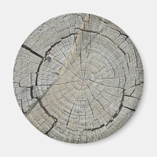 Aimant Tree stump