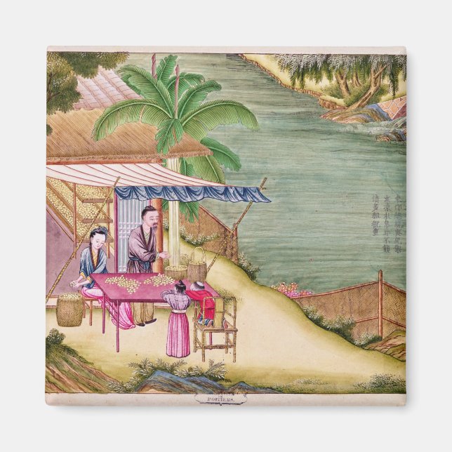 Aimant Tri des cocons (Devant)