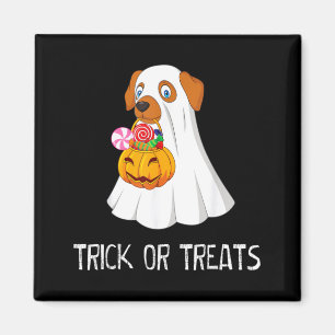 Aimant Trick Or Treats Drôle Fantôme Chien Mignon Hallowe