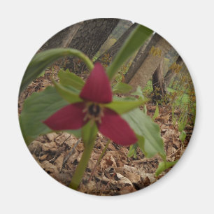 Aimant Trillium rouge