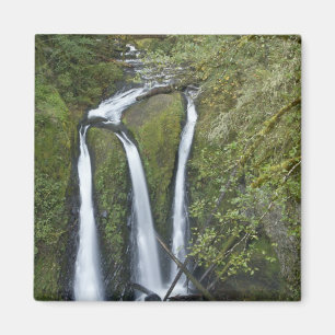 Aimant Triple Falls, gorge du Columbia