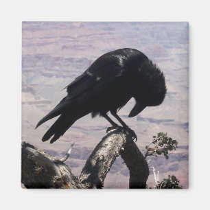 Aimant triste 01 de Raven