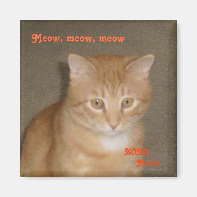 Aimant Triste visage (Devant)