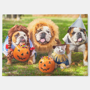 Aimant Trois Bulldogs en costumes