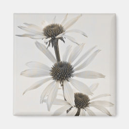 Aimant Trois fleurs de cône blanc