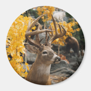 Aimant Trophée Deer