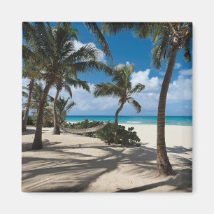 Aimant Tropical Beaches Anguilla Beach, Palm Tree